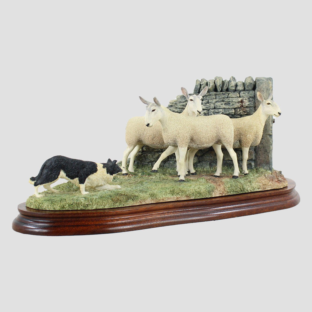 Stand Off Border Fine Arts Sheep