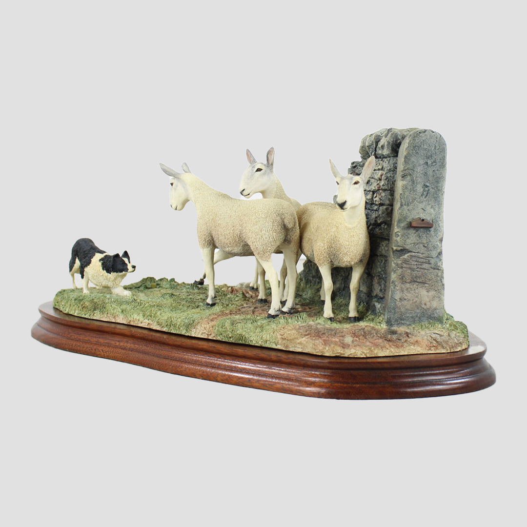 Stand Off Border Fine Arts Sheep