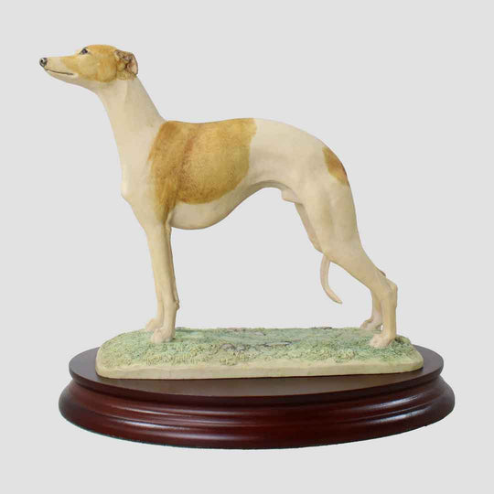 Whippet Standing Border Fine Arts