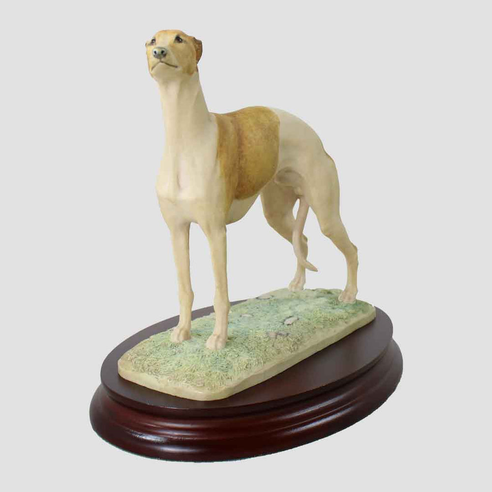 Whippet Standing Border Fine Arts