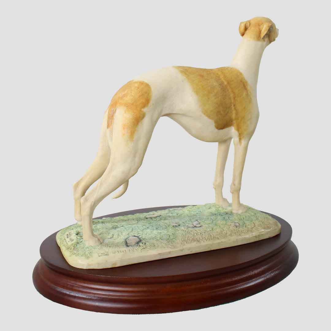 Whippet Standing Border Fine Arts