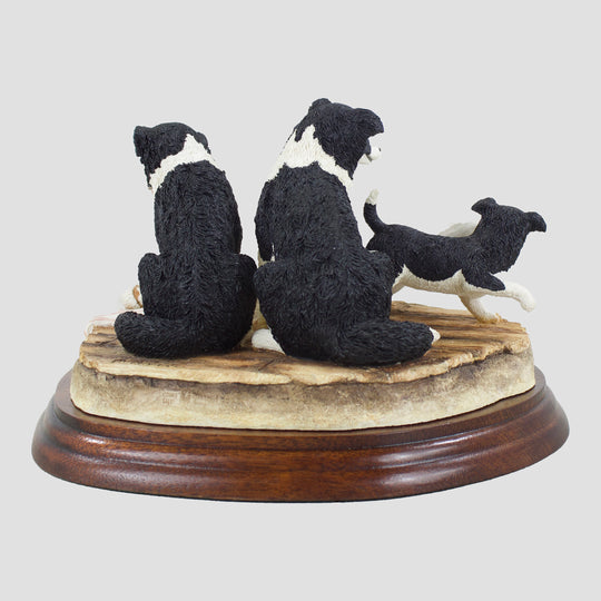 Our Nell Border Fine Arts Border Collies