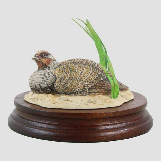 Partridge By James Harvey Border Fine Arts