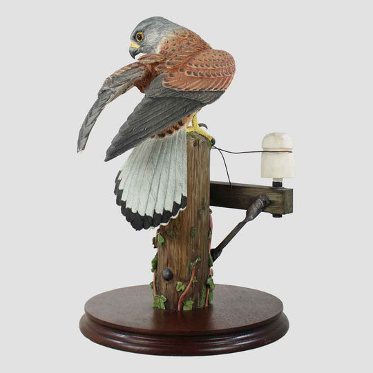 Kestrel Style Four (Large) Border Fine Arts