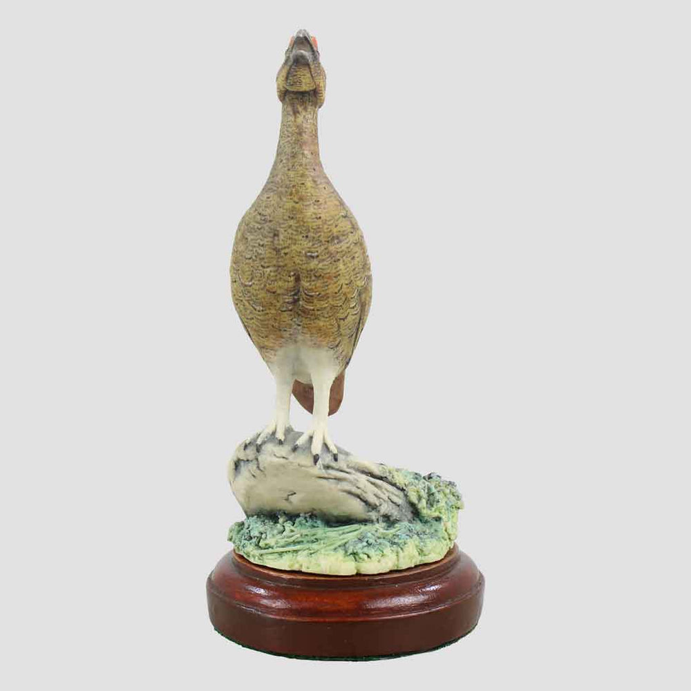 Red Grouse Border Fine Arts Model