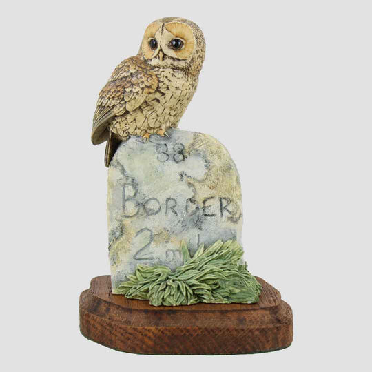 Tawny Owl On Milestone With Plinth Border Fine Arts Birds