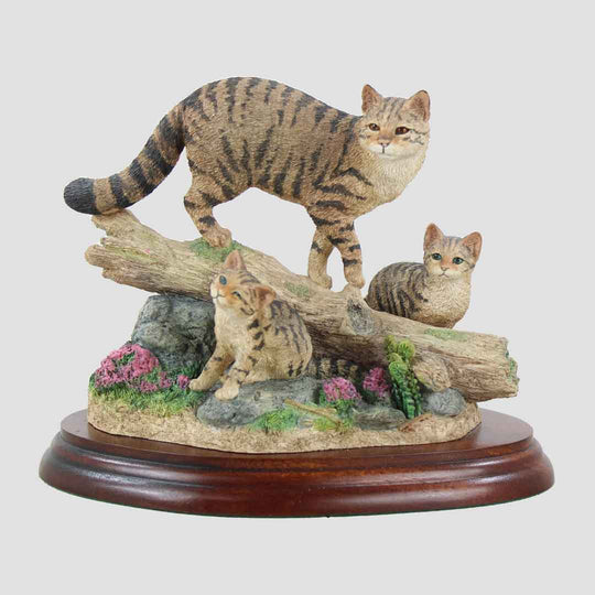 Highland Secret Border Fine Arts Scottish Wildcats