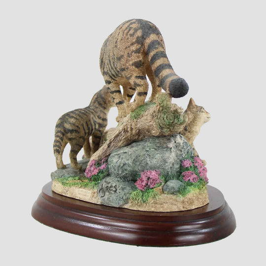 Highland Secret Border Fine Arts Scottish Wildcats