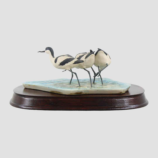 Avocets Feeding Border Fine Arts Birds