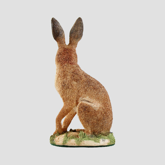 Field Study Border Fine Arts Hare