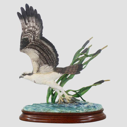 Osprey Border Fine Arts Bird