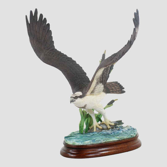 Osprey Border Fine Arts Bird