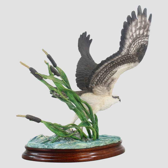 Osprey Border Fine Arts Bird