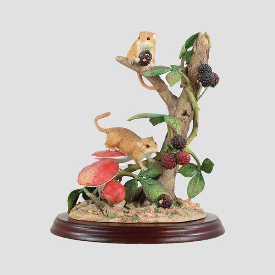 September Fruits Border Fine Arts Dormice