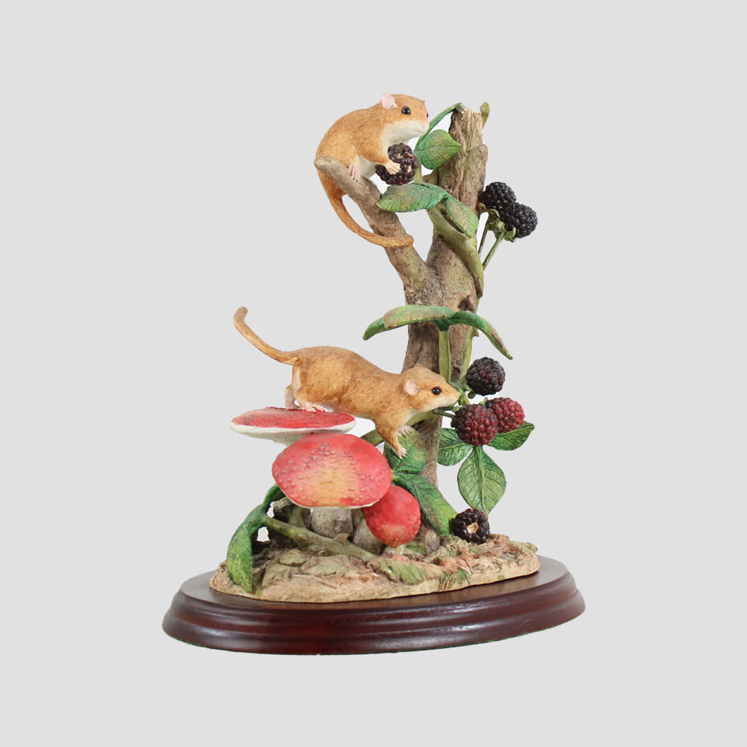 September Fruits Border Fine Arts Dormice