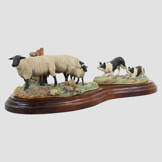 Suffolk Ewe And Collies Border Fine Arts