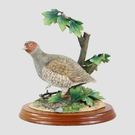 Grey Partridge Border Fine Arts Bird