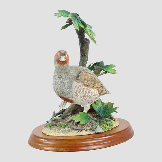 Grey Partridge Border Fine Arts Bird