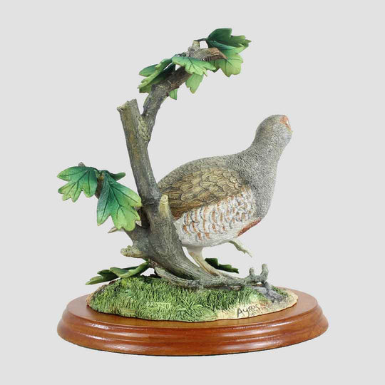 Grey Partridge Border Fine Arts Bird