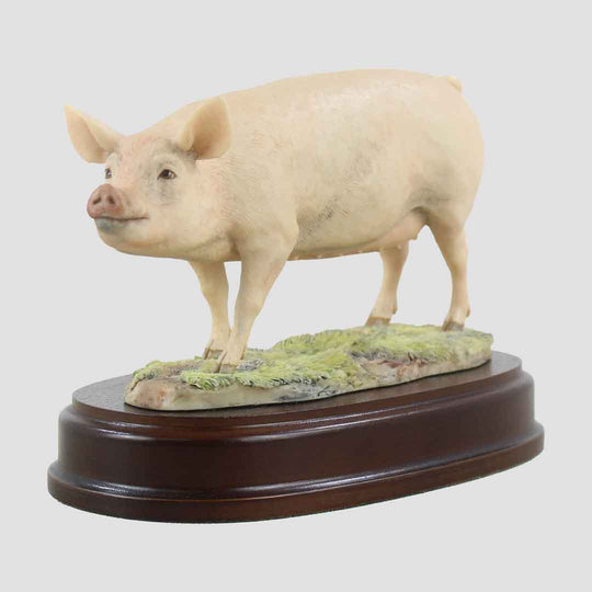 Sow Border Fine Arts Pig