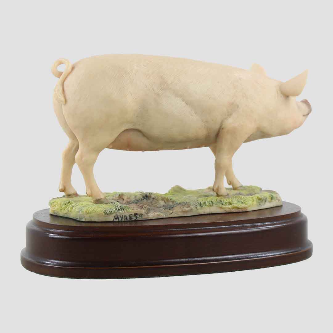 Sow Border Fine Arts Pig