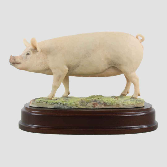 Sow Border Fine Arts Pig