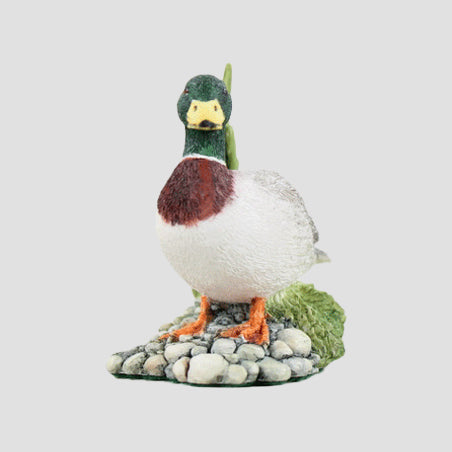 Drake Border Fine Arts Duck