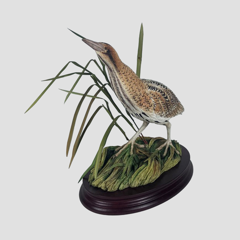 Bittern Border Fine Arts Bird Limited Edition Model