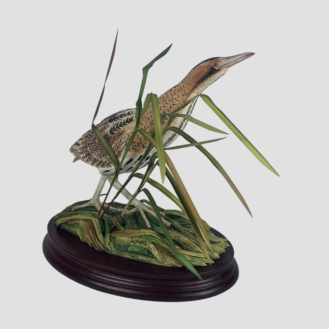 Bittern Border Fine Arts Bird Limited Edition Model