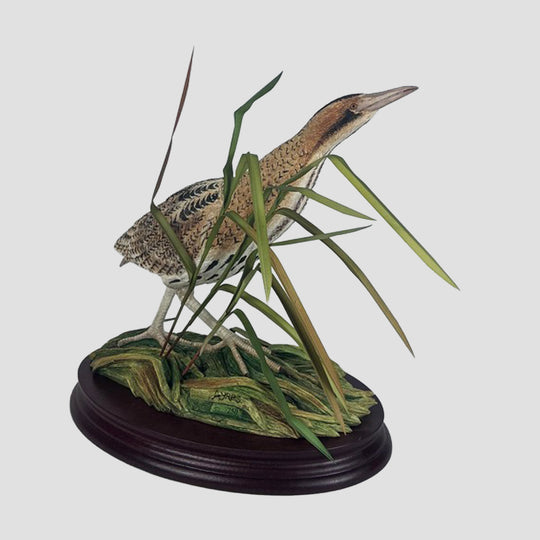 Bittern Border Fine Arts Bird Limited Edition Model