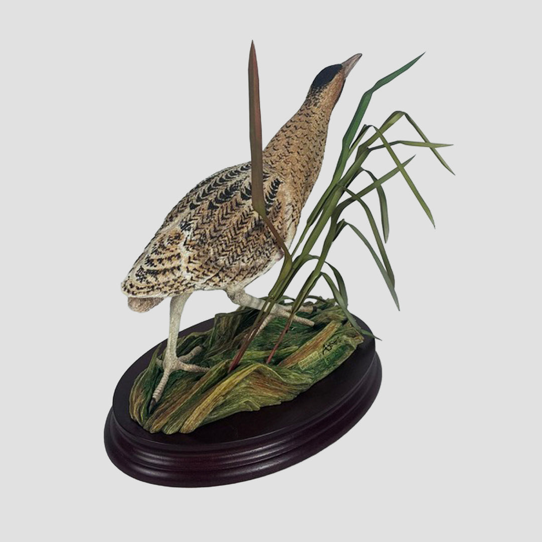Bittern Border Fine Arts Bird Limited Edition Model