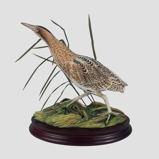 Bittern Border Fine Arts Bird Limited Edition Model