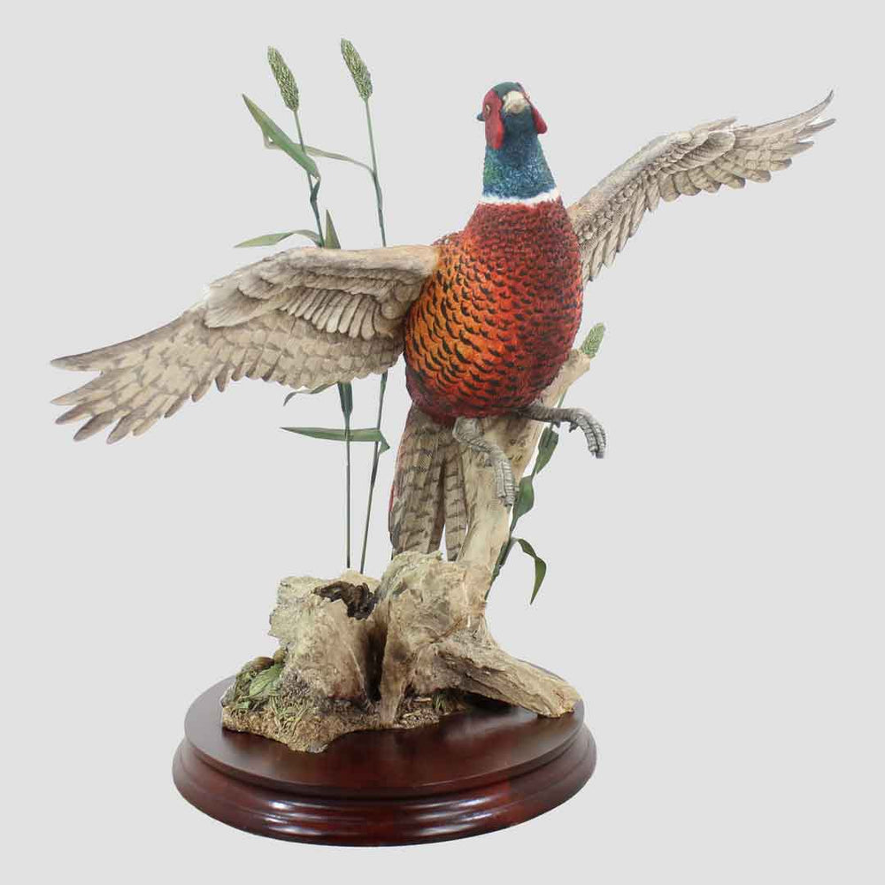 Rising Pheasant Border Fine Arts Birds