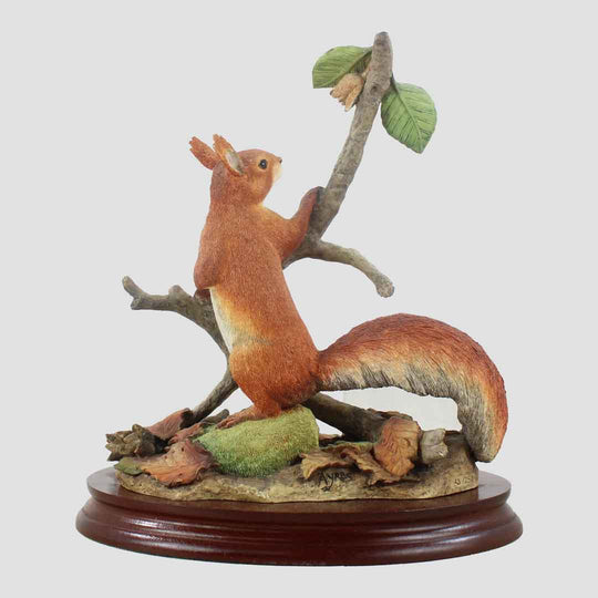 Windfall Border Fine Arts Squirrel