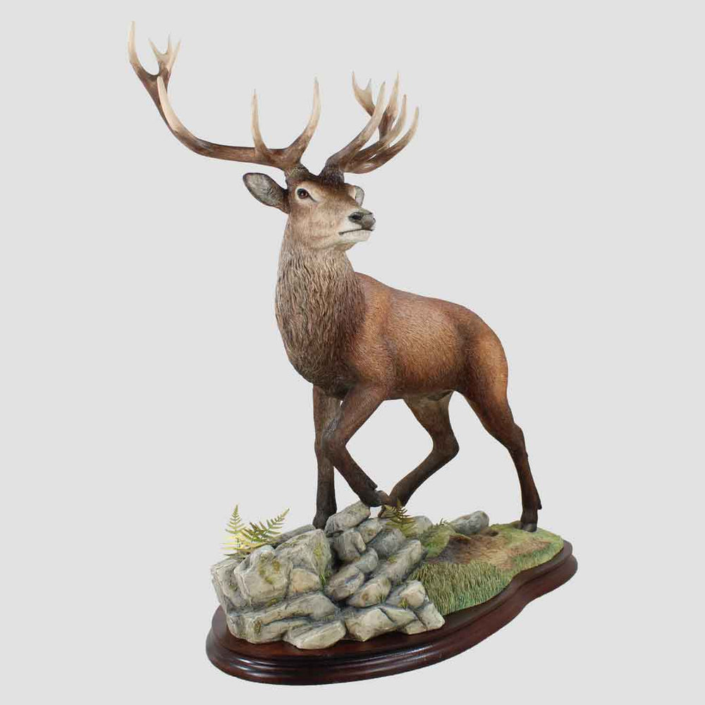UK Only - Highlander Stag (Artist Proof) Border Fine Arts