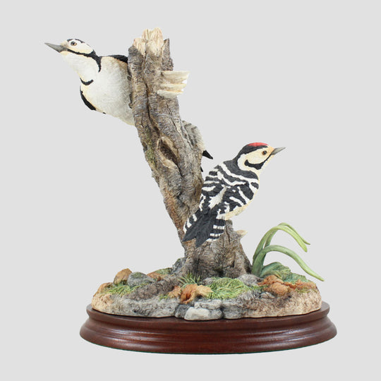 Different Points Of View Border Fine Arts Woodpeckers