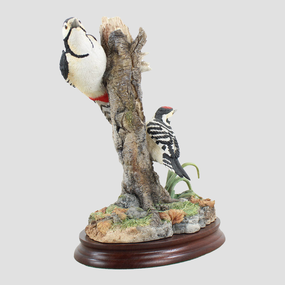 Different Points Of View Border Fine Arts Woodpeckers