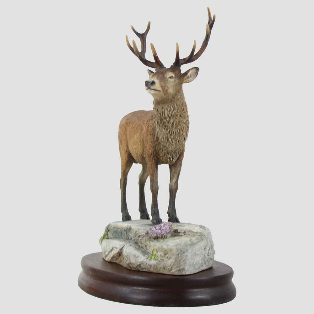 Stag Border Fine Arts Model