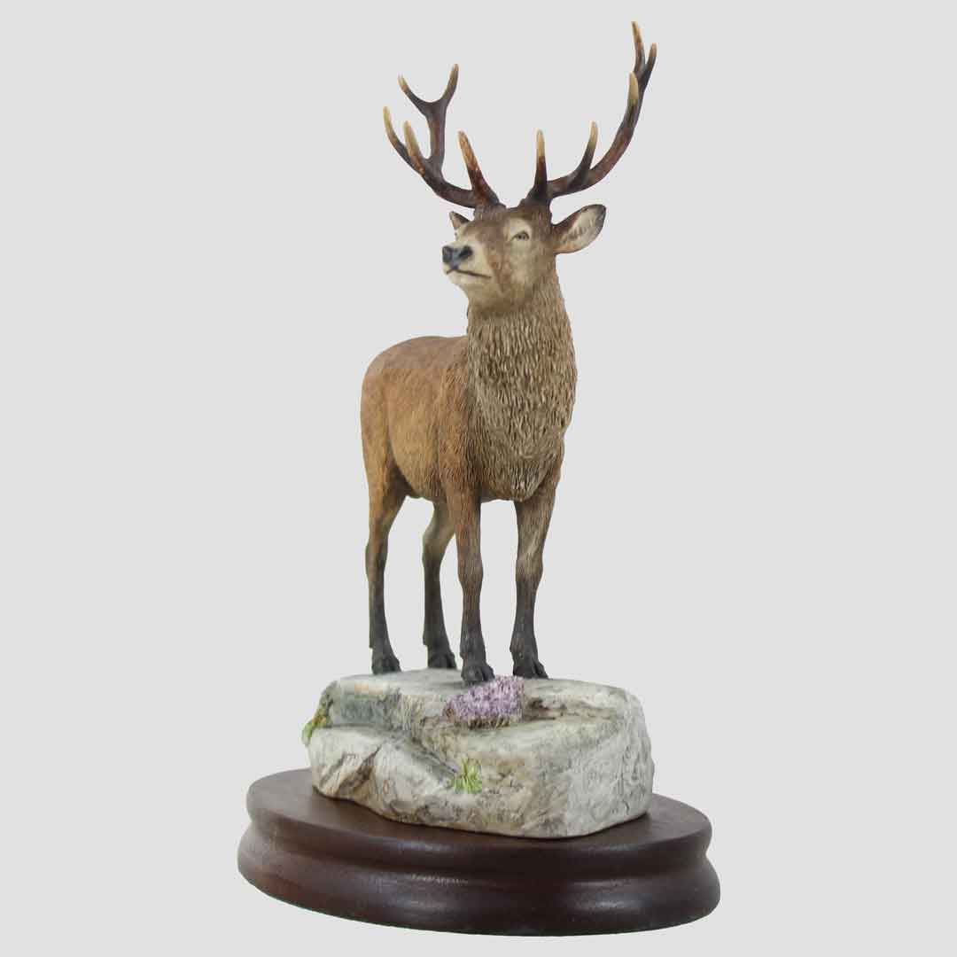 Stag Border Fine Arts Model