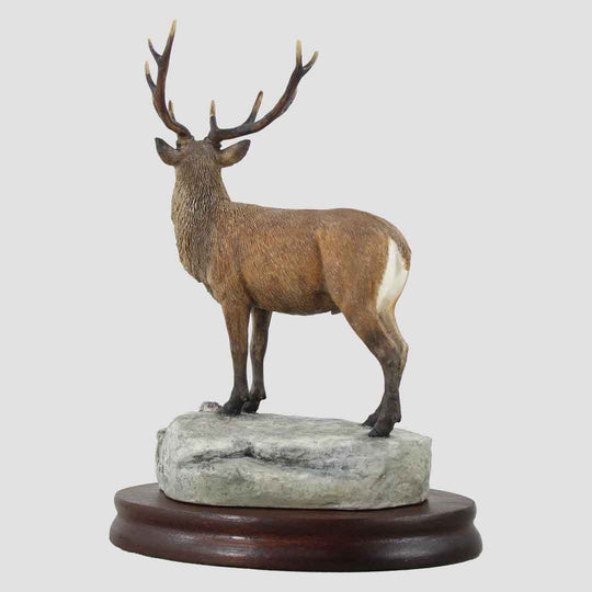 Stag Border Fine Arts Model