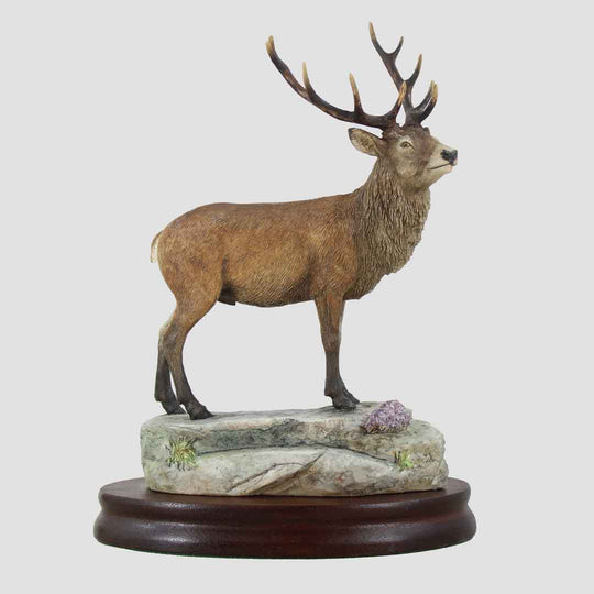 Stag Border Fine Arts Model
