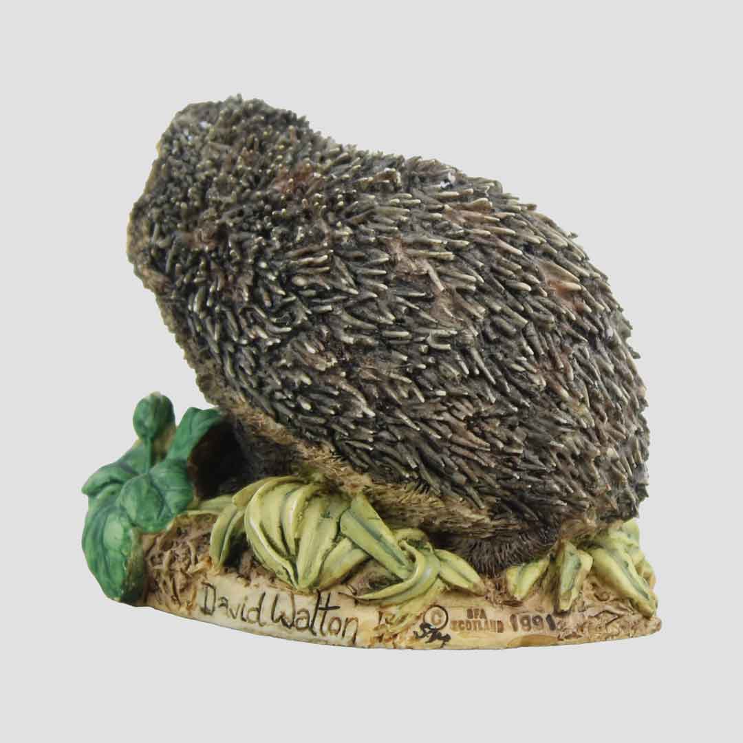 Hedgehog Border Fine Arts Model