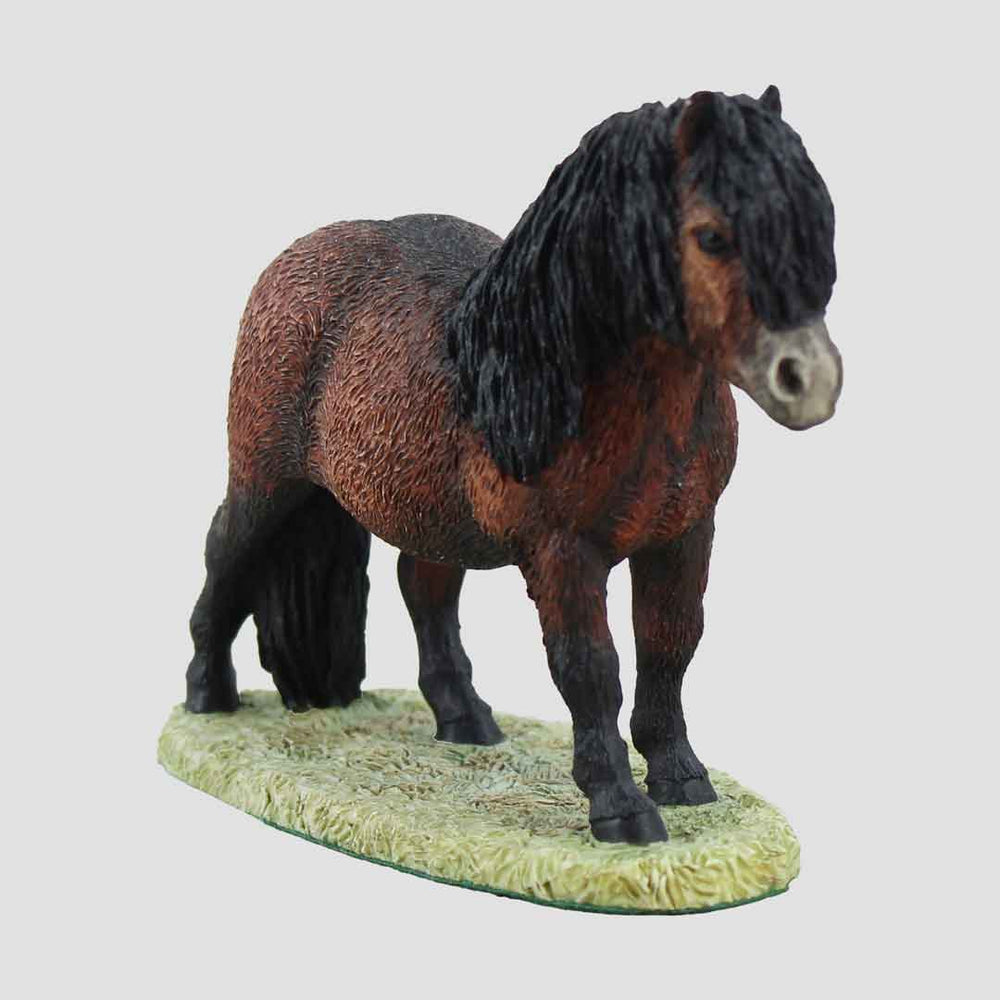 Shetland Pony Border Fine Arts