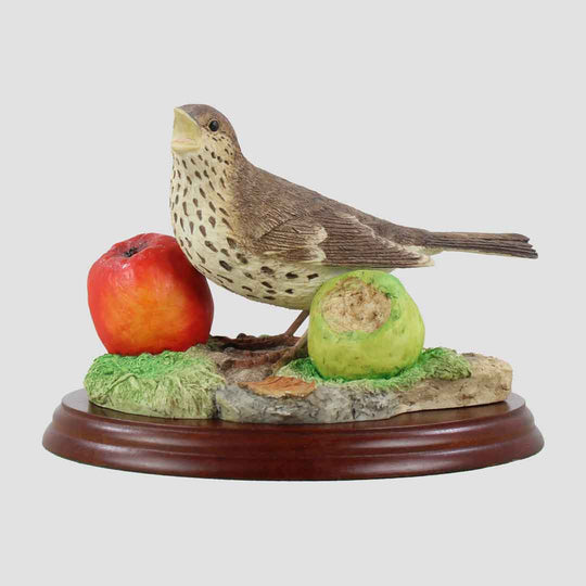 Song Thrush With Apples Border Fine Arts