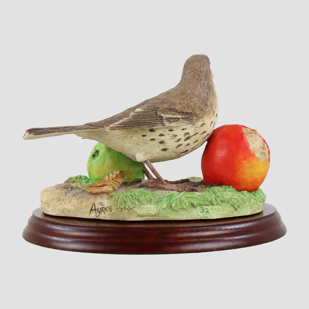 Song Thrush With Apples Border Fine Arts