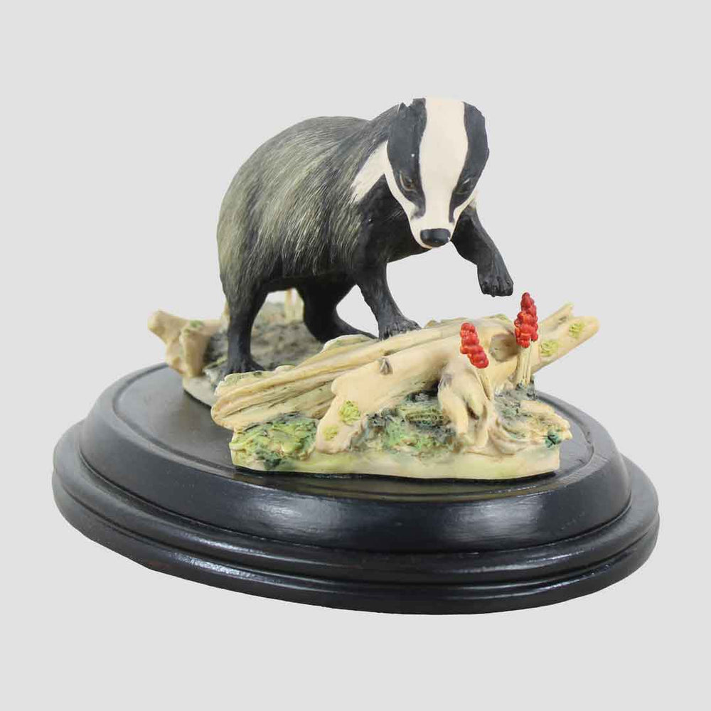 Badger Walking On Plinth Border Fine Arts Wildlife