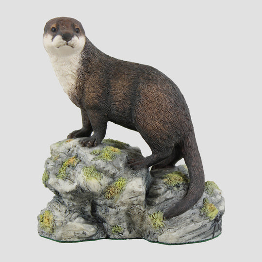 Otter On Rocks Border Fine Arts