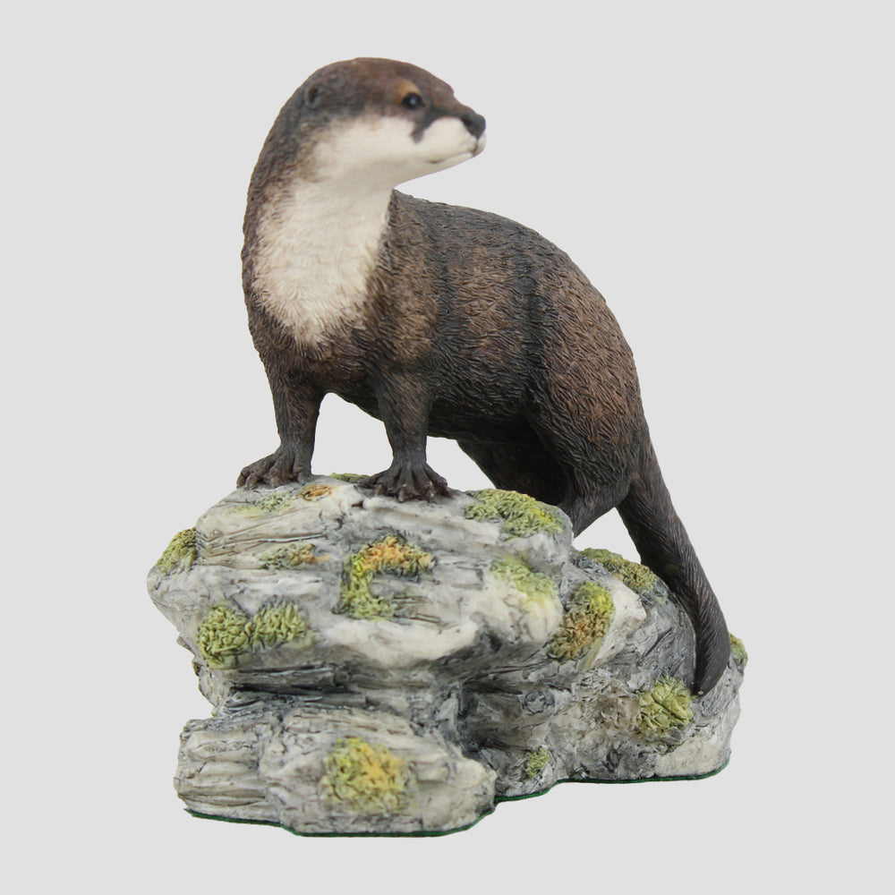 Otter On Rocks Border Fine Arts