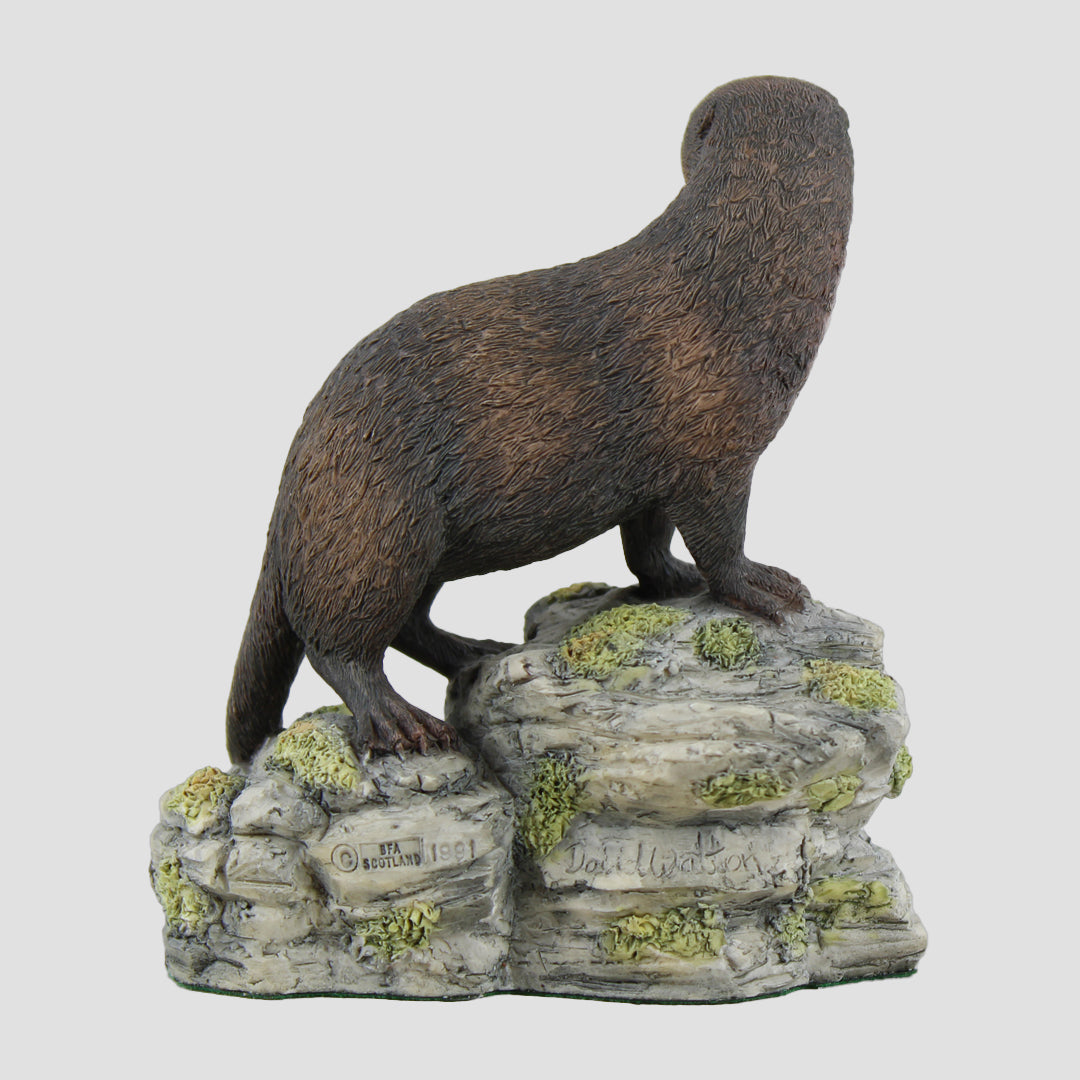 Otter On Rocks Border Fine Arts