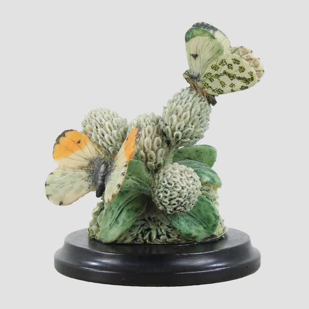 Orange Tips Border Fine Arts Butterflies